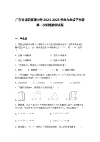 广东省揭阳真理中学2024-2025学年九年级下学期第一次训练数学试题（含答案解析）