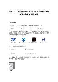 2025年6月江西省抚州市六校九年级下学业水平考试适应性考试 数学试题（含答案解析）
