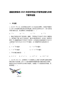 湖南省娄底市2025年初中学业水平联考试卷九年级下数学试题（含答案解析）