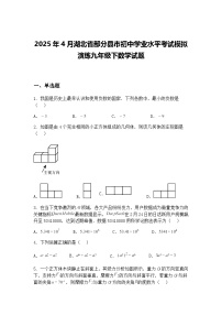 2025年4月湖北省部分县市初中学业水平考试模拟演练九年级下数学试题（含答案解析）