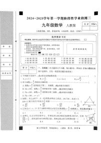 河北省廊坊市第九中学2024-2025学年上学期九年级第三次月考数学试卷