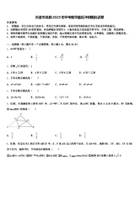 吕梁市岚县2025年中考数学最后冲刺模拟试卷含解析