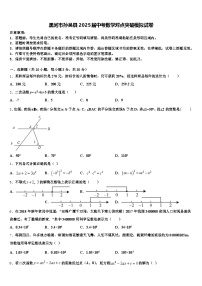 黑河市孙吴县2025届中考数学对点突破模拟试卷含解析
