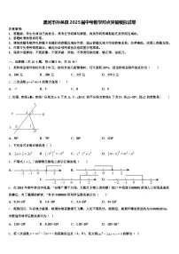 黑河市孙吴县2025届中考数学对点突破模拟试卷含解析