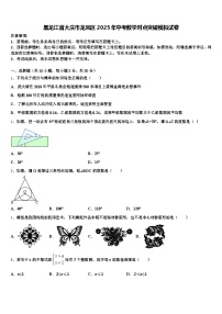黑龙江省大庆市龙凤区2025年中考数学对点突破模拟试卷含解析