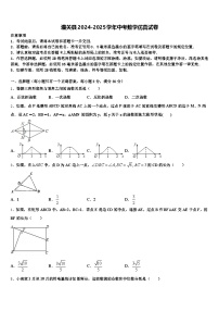 潼关县2024-2025学年中考数学仿真试卷含解析