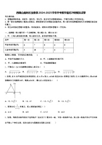 西藏山南地区加查县2024-2025学年中考数学最后冲刺模拟试卷含解析
