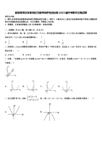 新疆维吾尔哈密地区巴里坤哈萨克自治县2025届中考数学五模试卷含解析