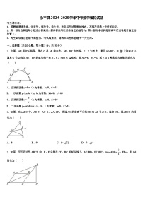 永平县2024-2025学年中考数学模拟试题含解析