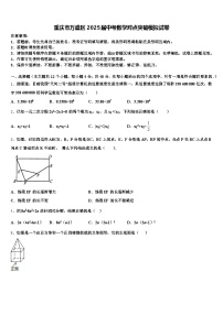 重庆市万盛区2025届中考数学对点突破模拟试卷含解析