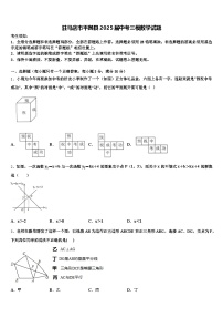 驻马店市平舆县2025届中考三模数学试题含解析