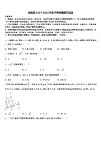 紫阳县2024-2025学年中考四模数学试题含解析
