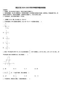 青白江区2024-2025学年中考数学模拟预测题含解析