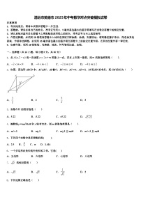 清远市英德市2025年中考数学对点突破模拟试卷含解析