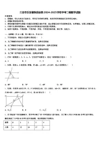 三亚市乐东黎族自治县2024-2025学年中考二模数学试题含解析