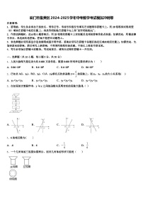 厦门市集美区2024-2025学年中考数学考试模拟冲刺卷含解析