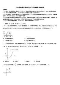 山东省德州市陵城区2025年中考数学猜题卷含解析