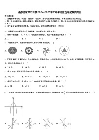 山东省菏泽市曹县2024-2025学年中考适应性考试数学试题含解析