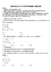 上海市宝山区2024-2025学年中考考前最后一卷数学试卷含解析