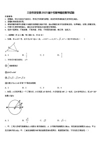 三亚市定安县2025届十校联考最后数学试题含解析