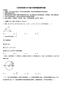 三亚市定安县2025届十校联考最后数学试题含解析