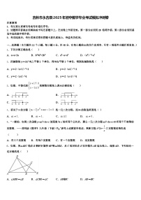 吉林市永吉县2025年初中数学毕业考试模拟冲刺卷含解析