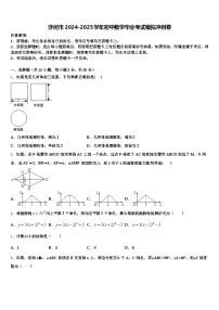 沙河市2024-2025学年初中数学毕业考试模拟冲刺卷含解析