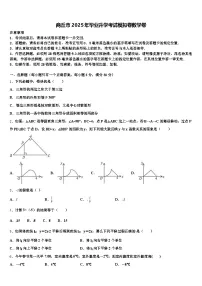 商丘市2025年毕业升学考试模拟卷数学卷含解析