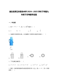 湖北省黄石市有色中学2024—2025学年下学期九年级下月考数学试题（含答案解析）