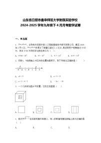 山东省日照市曲阜师范大学附属实验学校2024-2025学年九年级下4月月考数学试卷（含答案解析）
