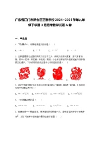 广东省江门市新会区正雅学校2024~2025学年九年级下学期3月月考数学试题A卷（含答案解析）
