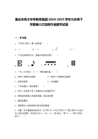 重庆市育才中学教育集团2024-2025学年九年级下学期第六次定时作业数学试题（含答案解析）