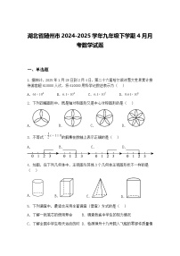 湖北省随州市2024-2025学年九年级下学期4月月考数学试题（含答案解析）