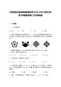 江苏省连云港市新海初级中学2024-2025学年九年级下学期数学第二次月考试题（含答案解析）