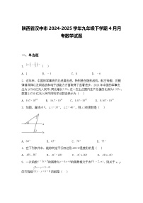 陕西省汉中市2024-2025学年九年级下学期4月月考数学试题（含答案解析）