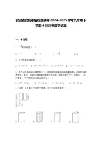 安徽省安庆市宿松县联考2024-2025学年九年级下学期4月月考数学试题（含答案解析）
