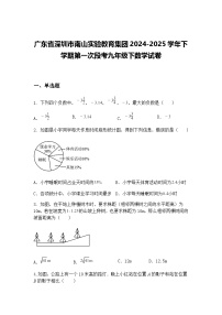 广东省深圳市南山实验教育集团2024-2025学年下学期第一次段考九年级下数学试卷（含答案解析）