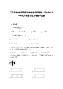 江苏省徐州市邳州实验中学等多校联考2024-2025学年九年级下学期月考数学试卷（含答案解析）