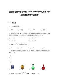 安徽省合肥市部分学校2024-2025学年九年级下学期四月联考数学试题卷（含答案解析）