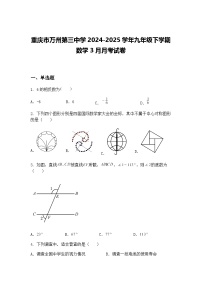 重庆市万州第三中学2024-2025学年九年级下学期 数学3月月考试卷（含答案解析）