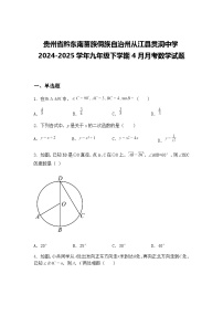 贵州省黔东南苗族侗族自治州从江县贯洞中学2024-2025学年九年级下学期4月月考数学试题（含答案解析）