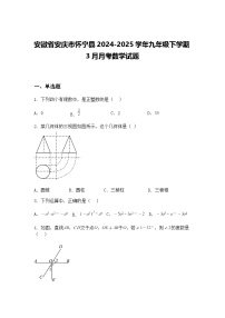 安徽省安庆市怀宁县2024-2025学年九年级下学期3月月考数学试题（含答案解析）