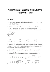 吉林省四平市2024~2025学年 下学期九年级下第一次月考试卷 数学（含答案解析）
