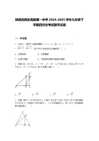 陕西省西安高新第一中学2024-2025学年九年级下学期四月份考试数学试题（含答案解析）