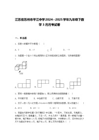 江苏省苏州市平江中学2024--2025学年九年级下数学3月月考试卷（含答案解析）