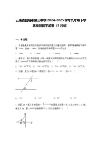 云南省昆明市第三中学2024-2025学年九年级下学期段测数学试卷（3月份）（含答案解析）