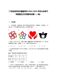 广东省深圳市外国语学校2024-2025学年九年级下学期第五次月考数学试卷（一模）（含答案解析）
