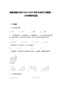 海南省国兴中学2024-2025学年九年级下学期第一次月考数学试题（含答案解析）