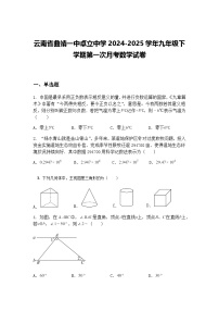 云南省曲靖一中卓立中学2024-2025学年九年级下学期第一次月考数学试卷（含答案解析）