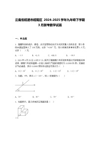 云南省昭通市昭阳区 2024-2025学年九年级下学期3月联考数学试题（含答案解析）